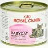 Royal Canin